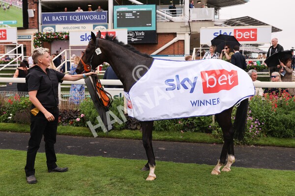 yr23072022r1-101 - Race 1 2.05pm Sky Bet Jump Jockeys Nunthorpe