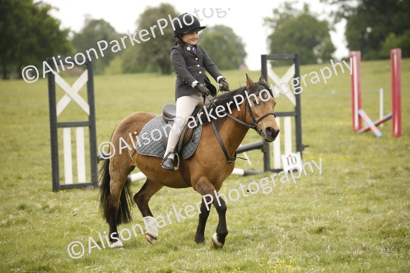 20250517-0830 - Class 2 - 30cm Off Lead Rein