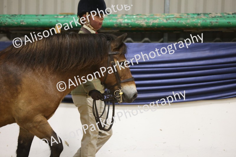 20260913-1003 - Class 109 - Bred On Exmoor In Hand