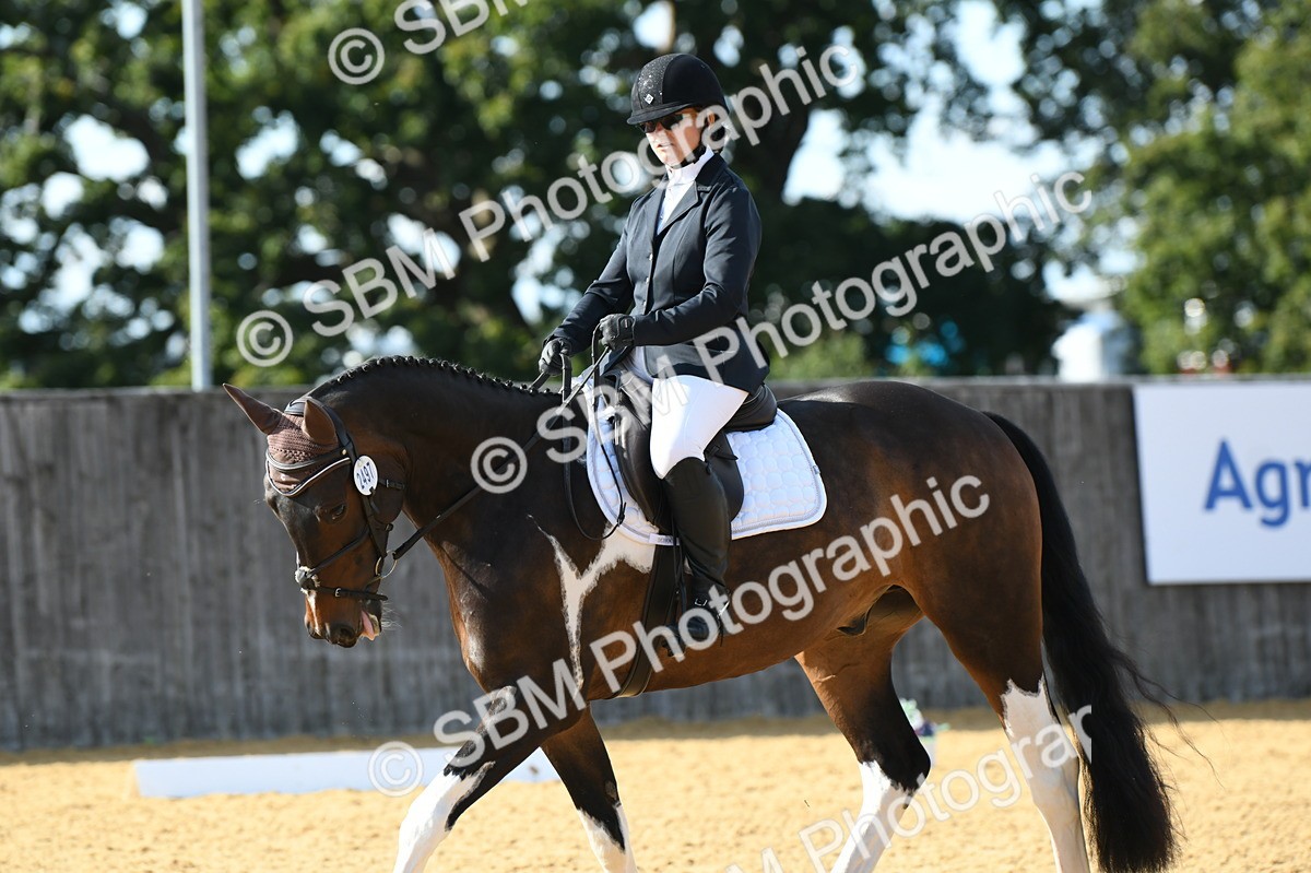 SBM_26994 - D16 - Small Tour Championship - Novice 28