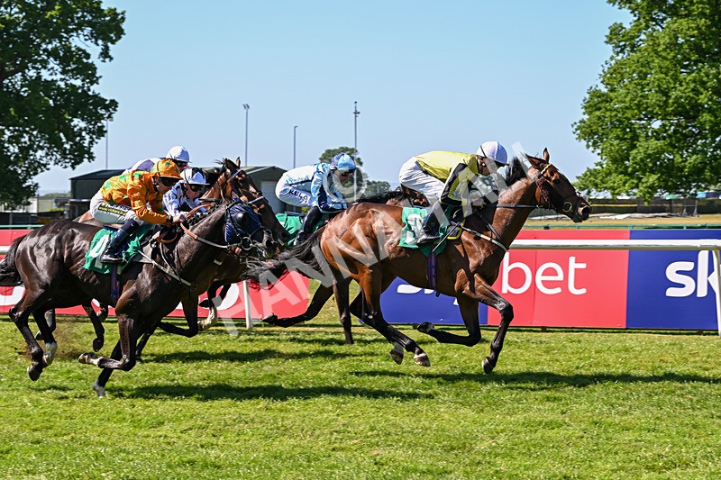 170525-Race 4-Hallelujah U-8328 - Race 4