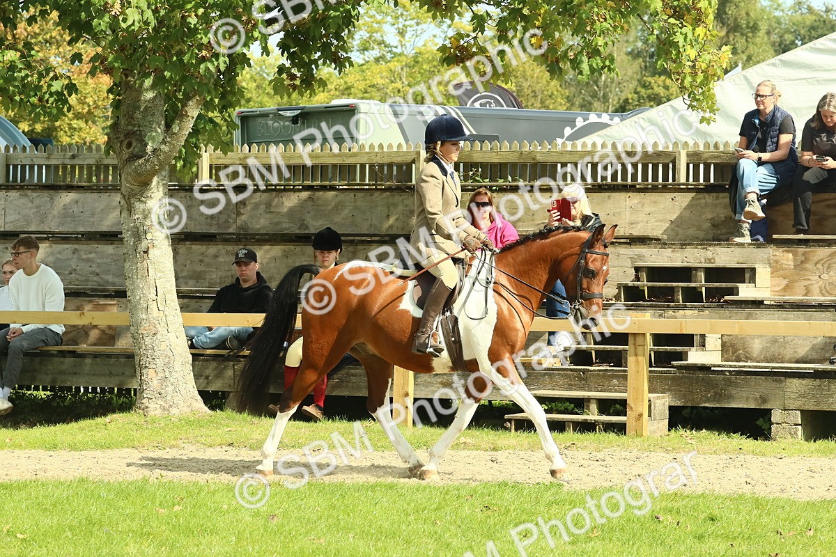 SBM_67492 - S56 - Coloured Pony Ridden