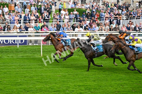 080925-Race 4-Zain Blue-7629 - Race 4 4.00pm Sky Bet Extra Places Middle Distance Handicap