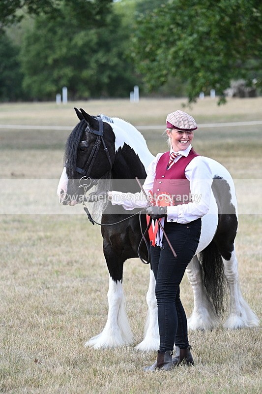 WJ7_8323 - In-hand Championship