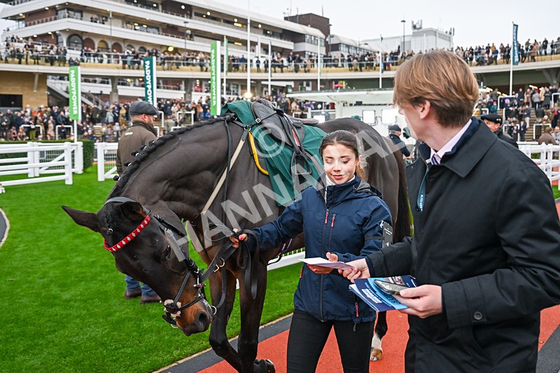 151125-Race 5-Gowel Road-3807 - Race 5