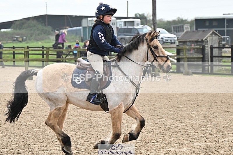 241110-101930-00253 - 40cm Showjumping