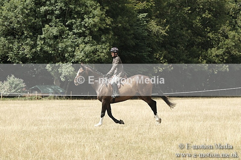 _PJP6065 - BVRC Show 2018 Ring 1