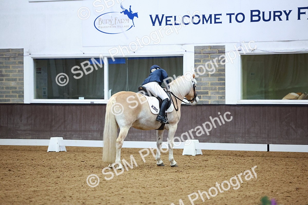 SBM_002910 - Novice Music