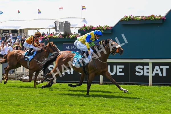130625-Race 1-Feel The Need-8378 - Race 1 1.50pm Andy Thornton Hospitality Furniture Apprentice Handicap