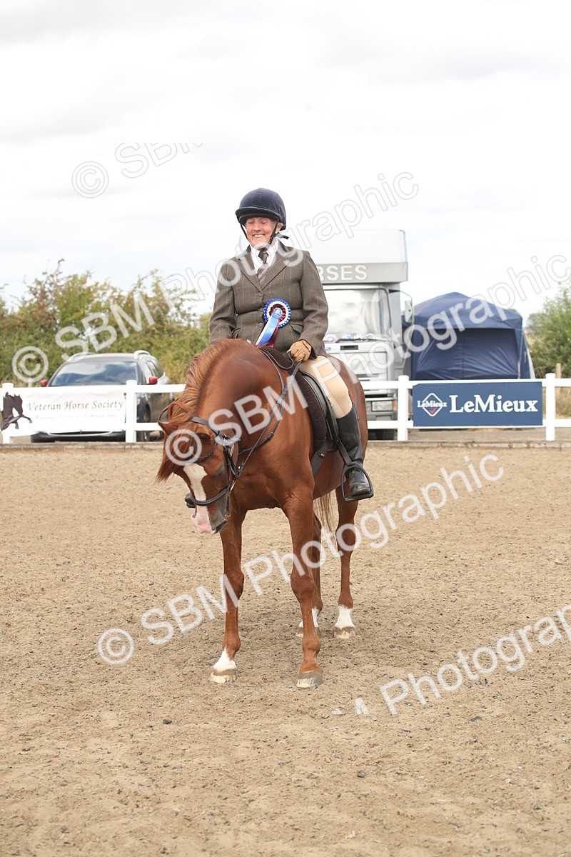 SBM_16562 - Class 506b - Working Veteran - 50cm (20+)