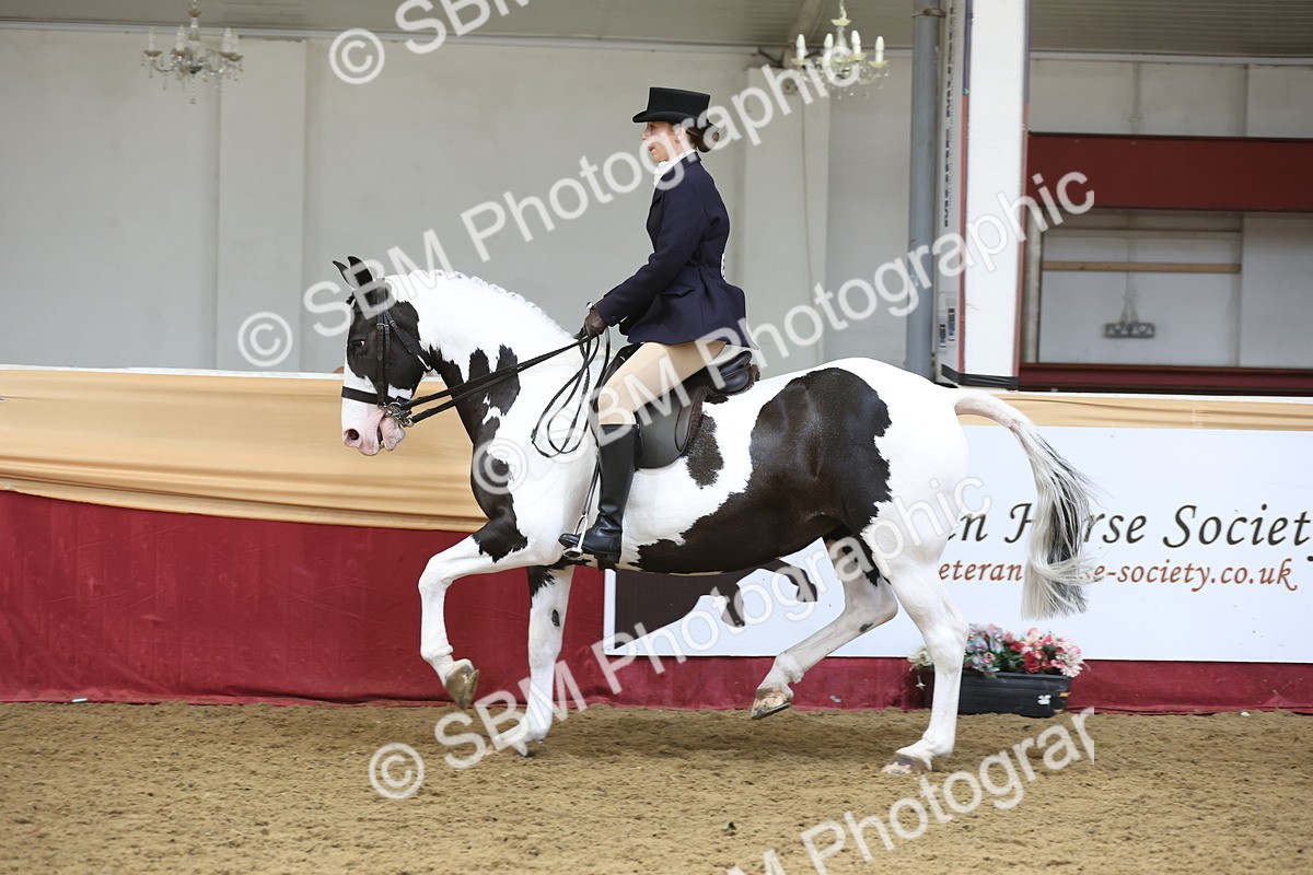 SBM_23763 - class 906 - Supreme Final - Ridden Pre Vet