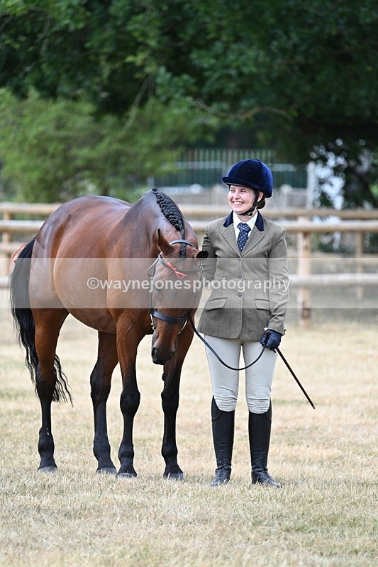 WJ7_1846 - Class 4a Prettiest Mare 14.2hh and over hand