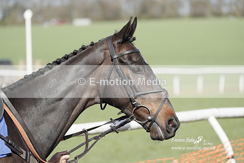 PtP 100423 817 - Old Berkshire Point-to-Point Lockinge 10/04/23