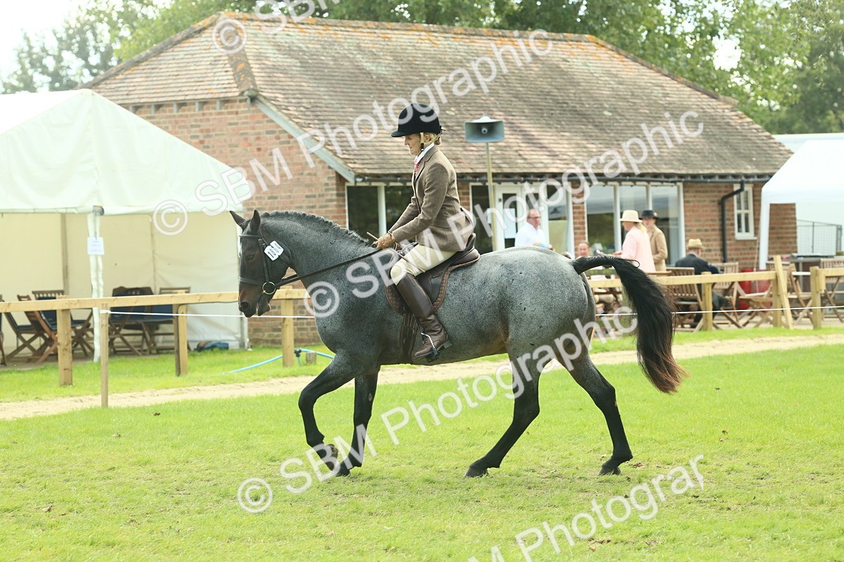SBM_62613 - S63 - Other Coloured Horse Ridden