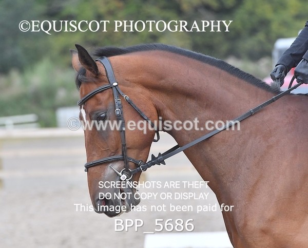 BPP_5686 - PRELIM TEST 4 LONG ARENA