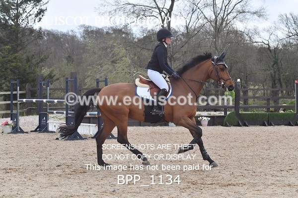 BPP_1134 - CLASS 7 Senior Foxhunter/ 1.20m Open