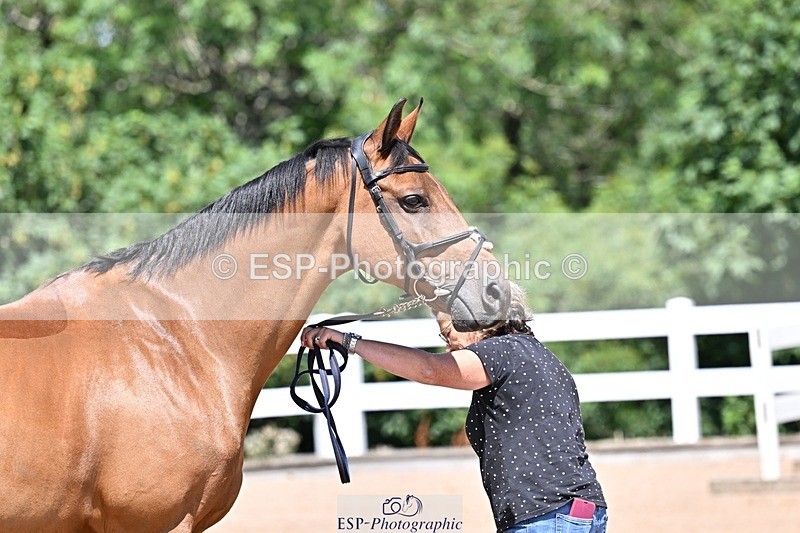 250716-123808-00074 - Trot Up 12.30 to 1.30