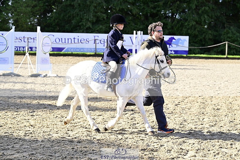 260411A-092152-00123 - 40cm Lead Rein