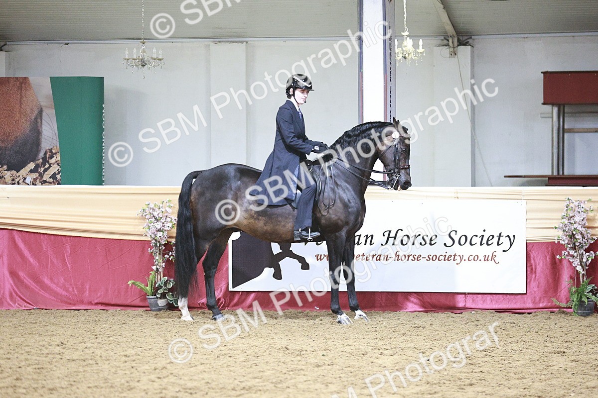 SBM_03372 - Class 6A Area Ridden Pre-Vet