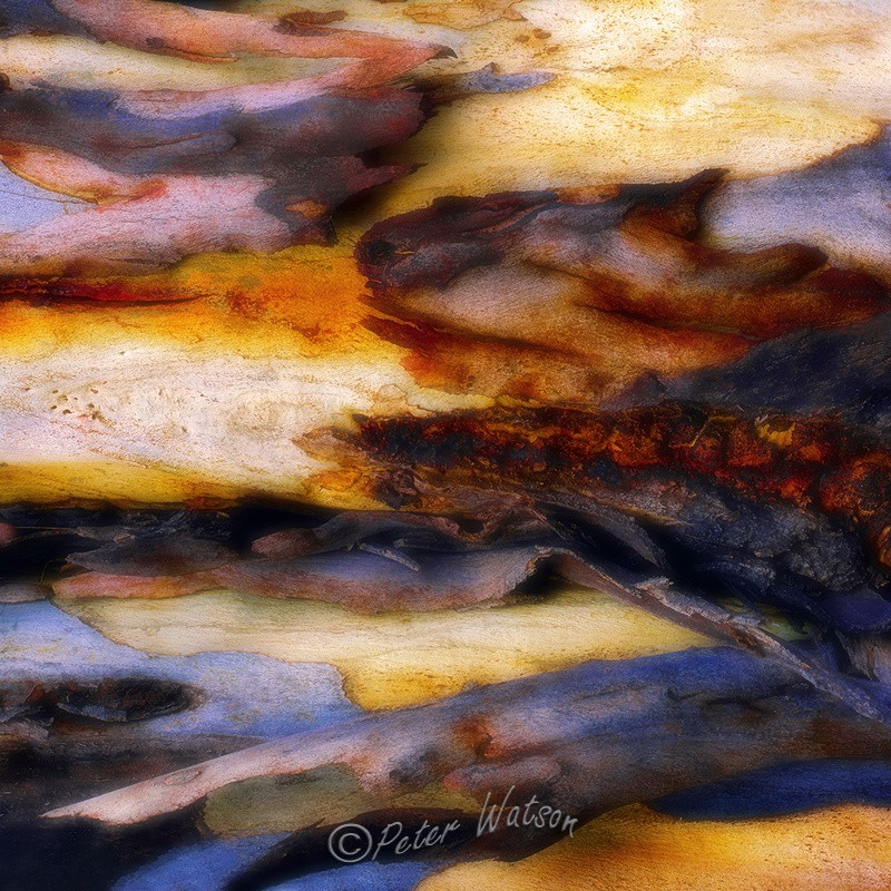 Rare Earth 2Abstract - Abstracts