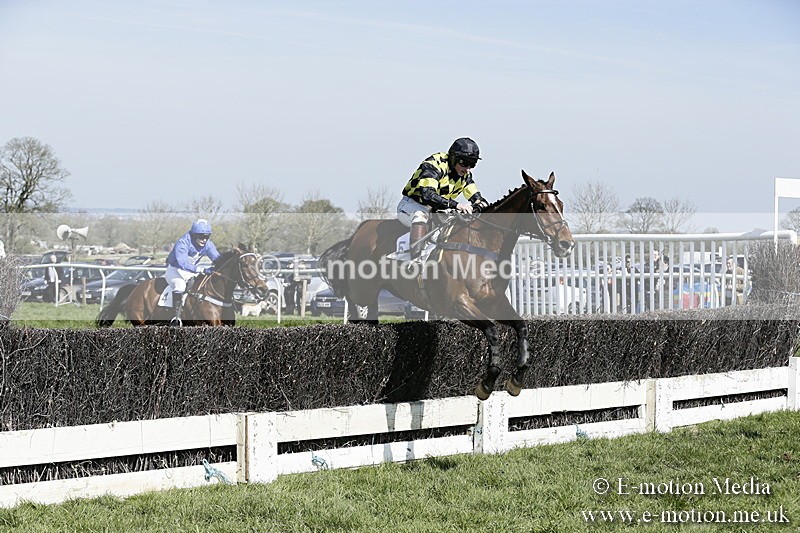 PtP 260317 94 - Mendip Farmers Point-to-Point Ston Easton 26/03/17