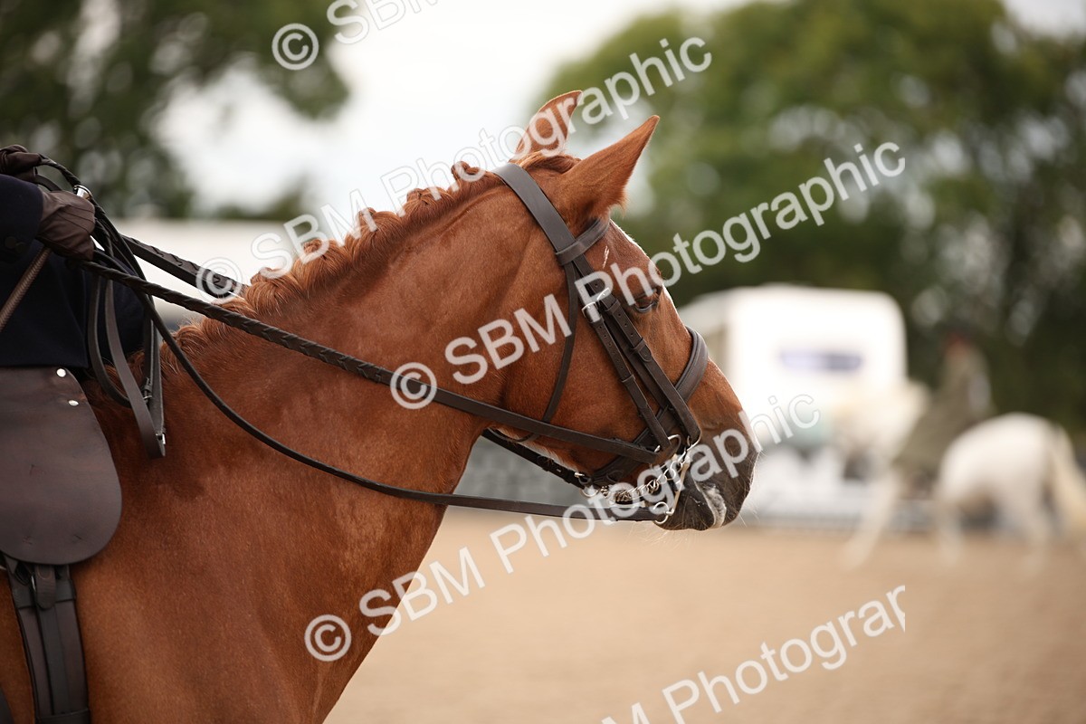 SBM_05353 - Class 22 SSA Equitation