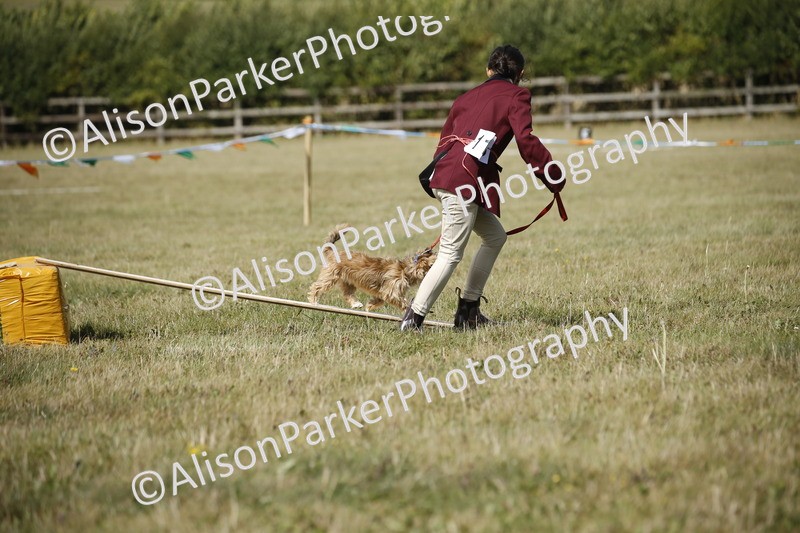 20250831-3825 - Dog Show