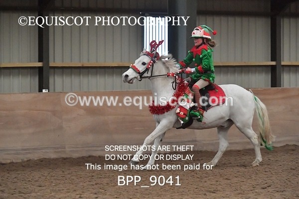 BPP_9041 - CLASS 3 50CM-70CM Pairs Show Jumping