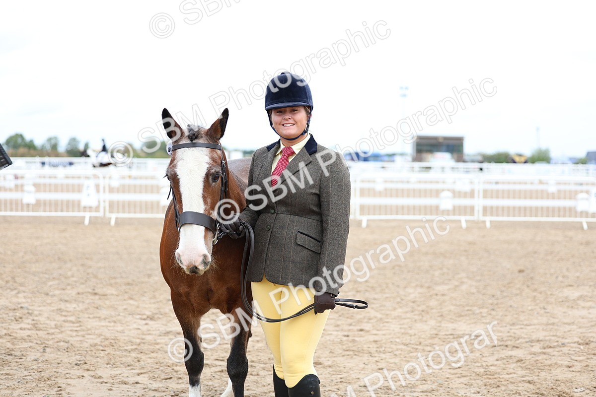 SBM_01474 - Class 17 - Prettiest Mare