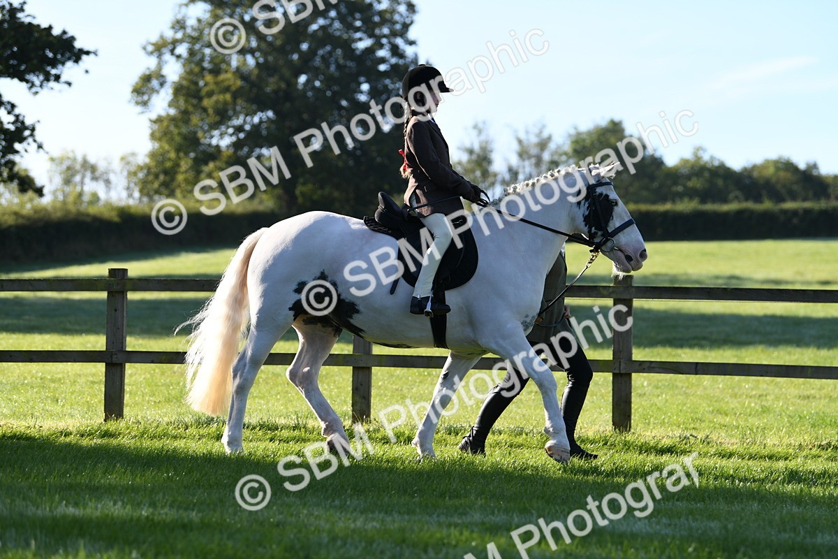 SBM_35316 - S17 - Condition & Turnout - Lead Rein