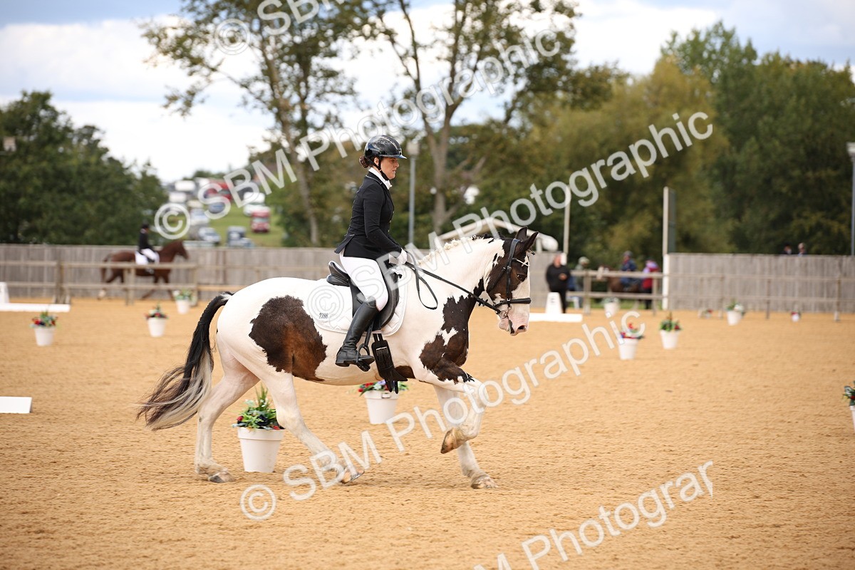 SBM_08981 - D8 Small Tour Championship Prelim 7
