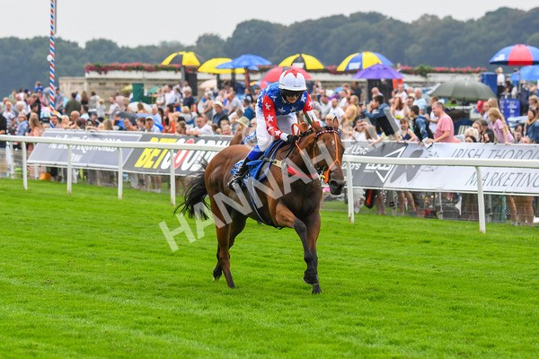 100923-Pony Race 1-Seal The Deal-0091 - Pony Race 1 12.25 The Dragon (TV and Film) Studios Pony Race 148cm & Under