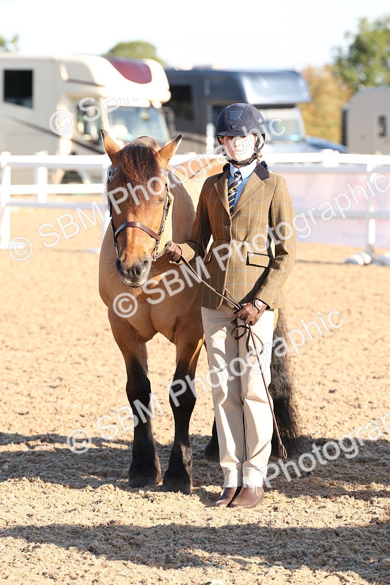 SBM_10787 - Class 201 - Best Turned Out - IH