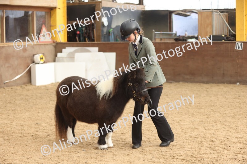 20251109-0407 - Class 15 - Coloureds