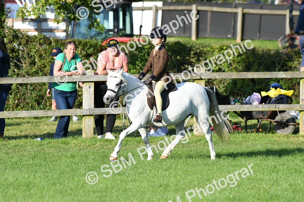 SBM_54048 - S23 - 1st Ridden Mountain & Moorland Pony
