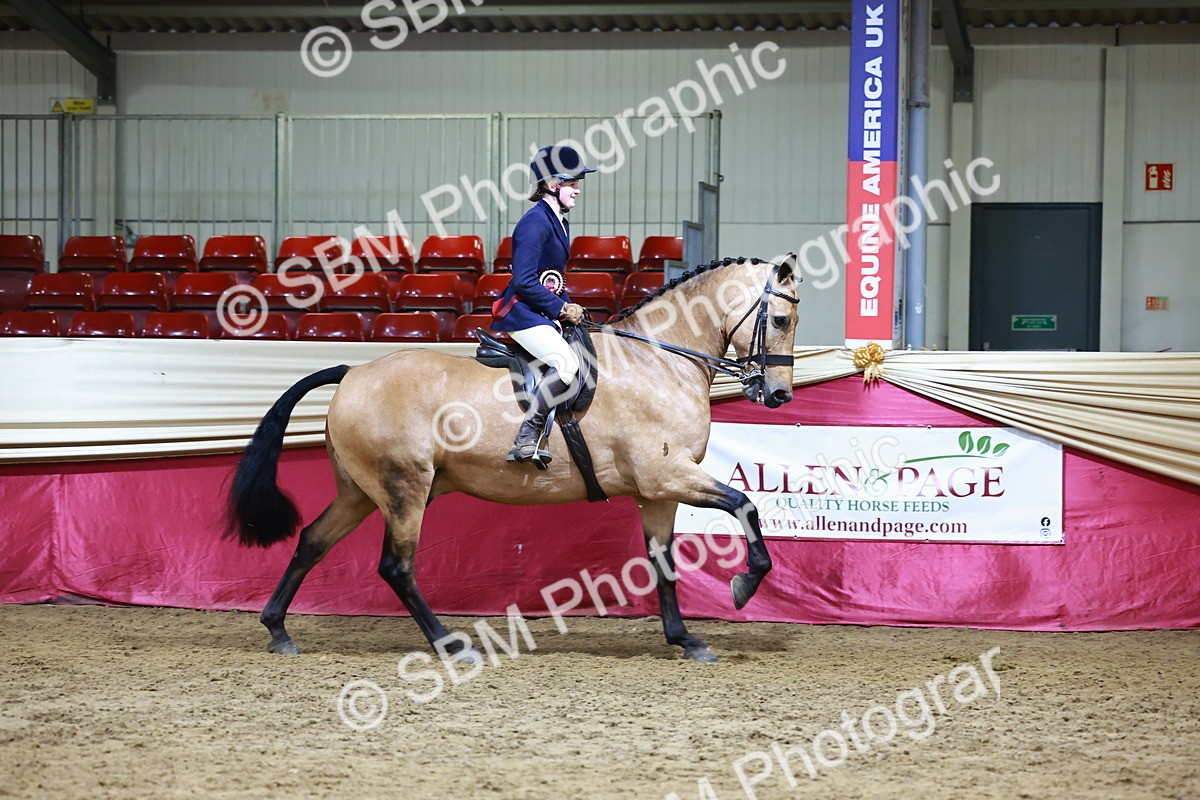 SBM_23596 - class 906 - Supreme Final - Ridden Pre Vet