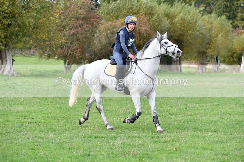 WJ5_0428 - Time 13:59 to 14:28