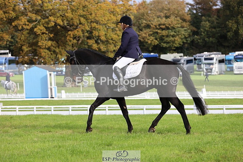 251024A-101520-07692 - D-343-Georgina.Owen