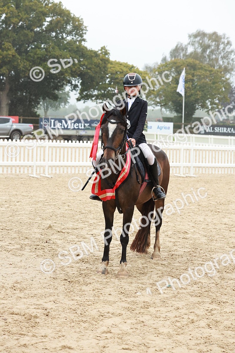 SBM_73458 - Supreme Championship Junior Pony 60cm & 65cm