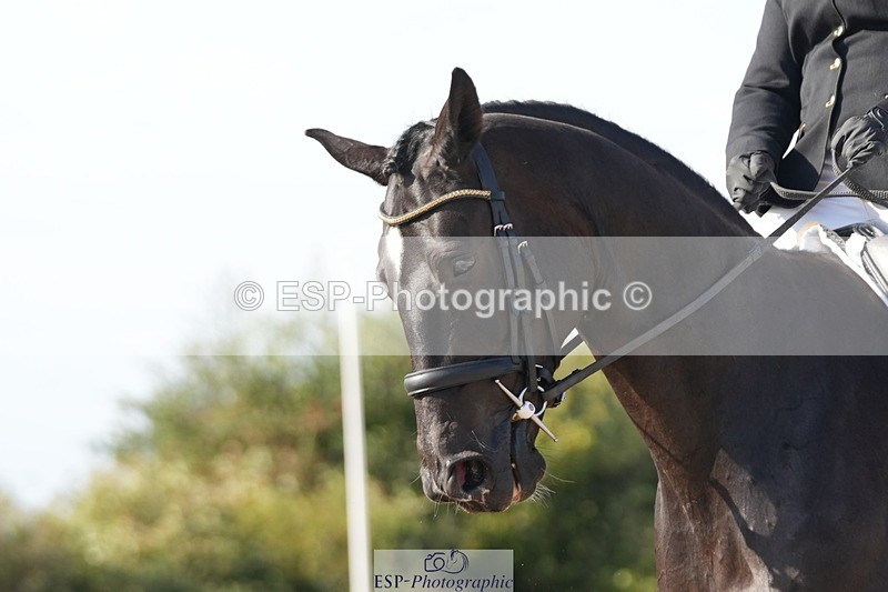 250906-162326-05031 - 123-Sam.YorkOakring.Santino