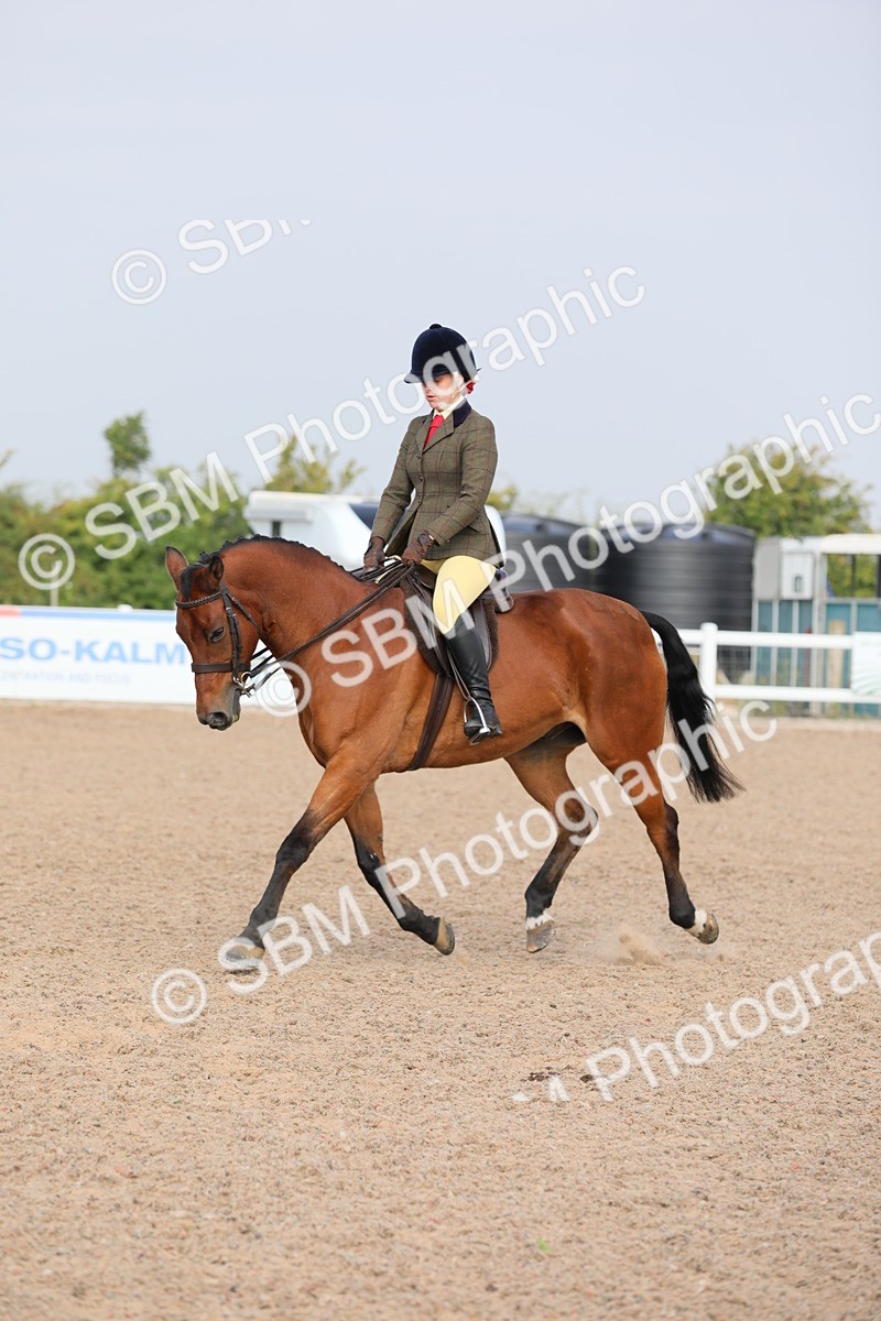 SBM_10887 - Class 304 Ridden Part Bred Horse/Pony