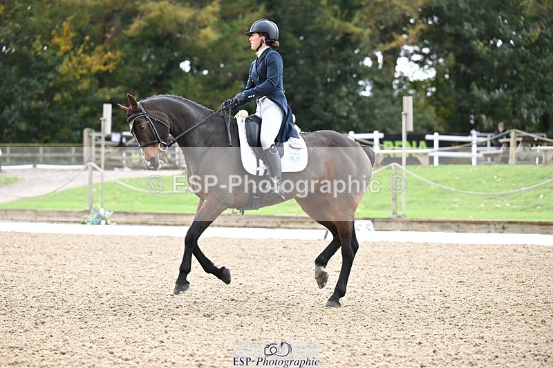 251023A-104704-01549 - B-131-Gemma.Gurvidi