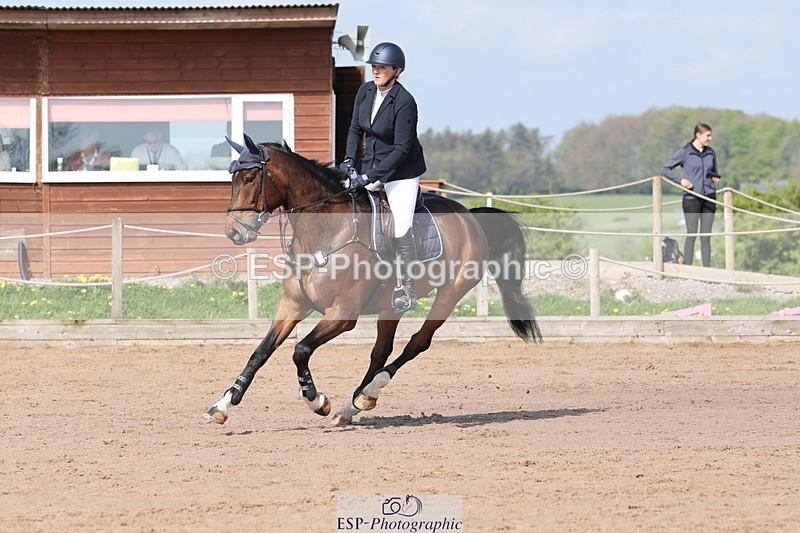 250427-101513-15261 - Cls 32 Young Horse 6yr old