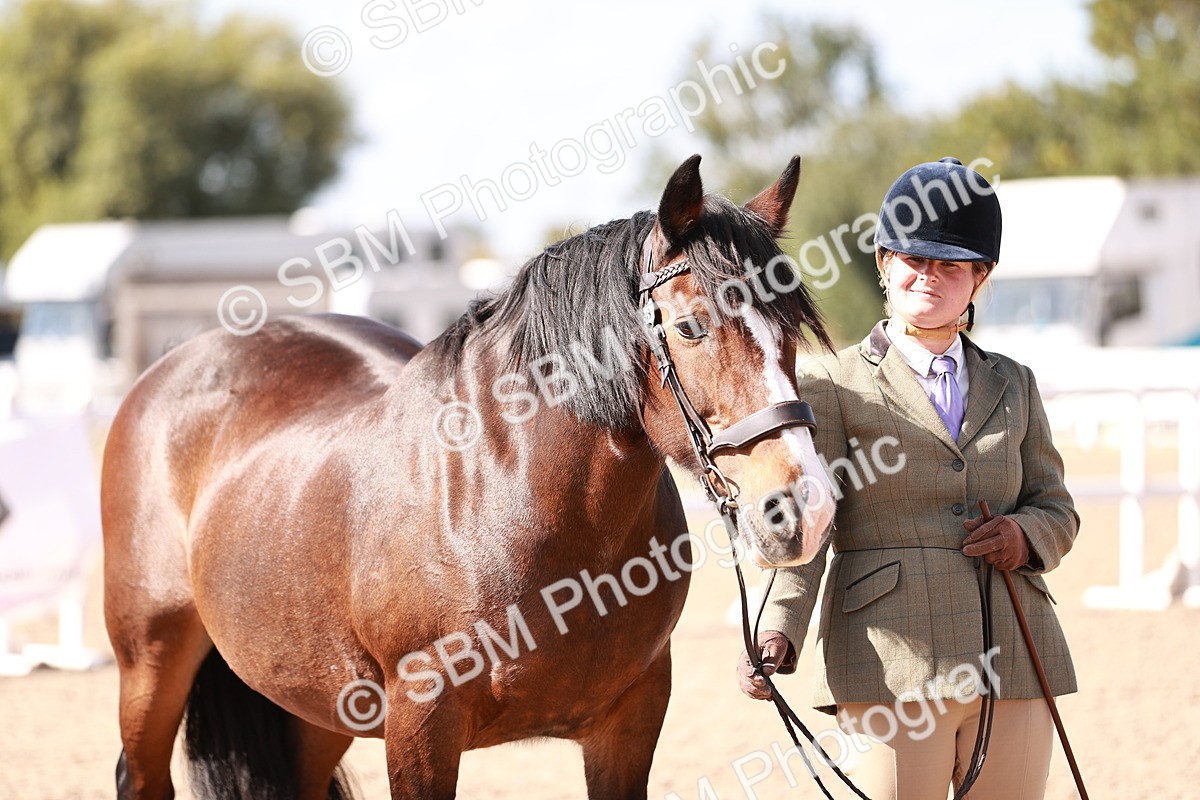 SBM_22913 - Class 706 - IH Veteran