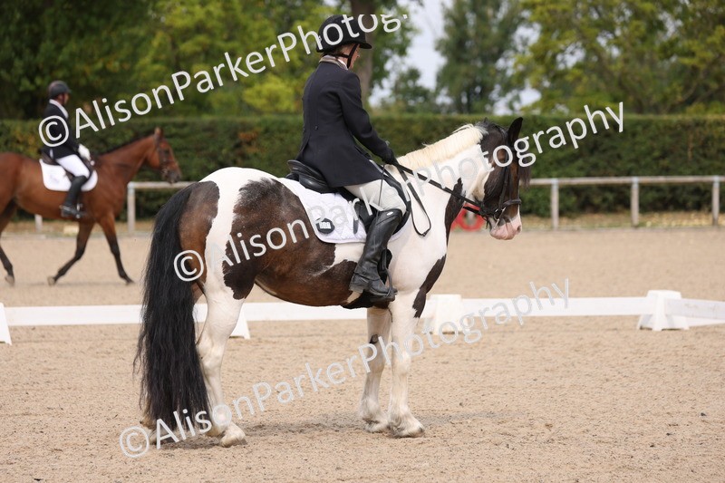 20250819-1358 - Class 4 - Novice 2