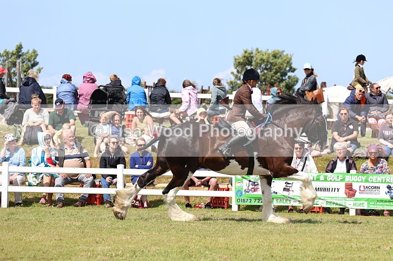 3E7A2906 - Class 13: Heavy Horse Ridden