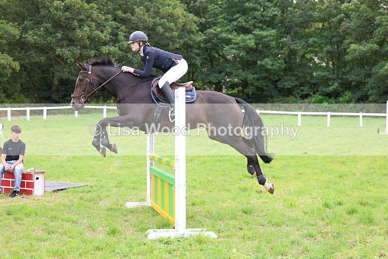 3E7A6995 - Class 5: Senior British Novice/90cm open