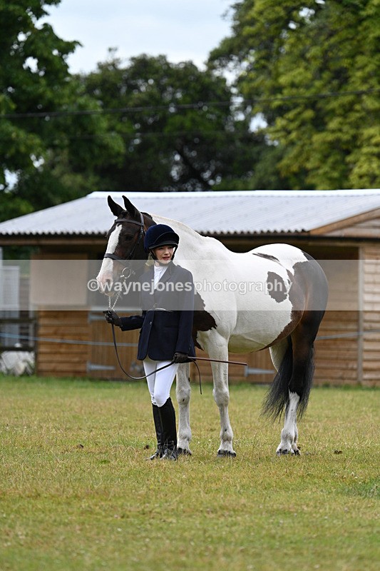 WJ7_6313 - Class 4a Prettiest Mare over 14hh