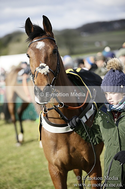 PtP 040218 16 - Point-to-Point Milborne St Andrew 04/02/18