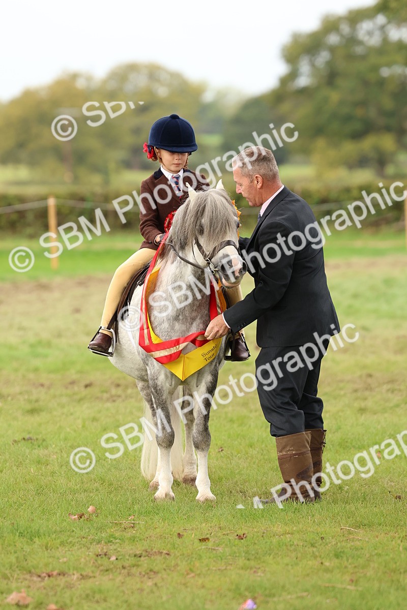 SBM_59799 - Start Supreme Championship